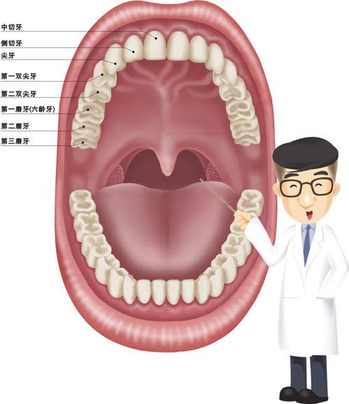 中医总结对牙齿有害的常见行为
